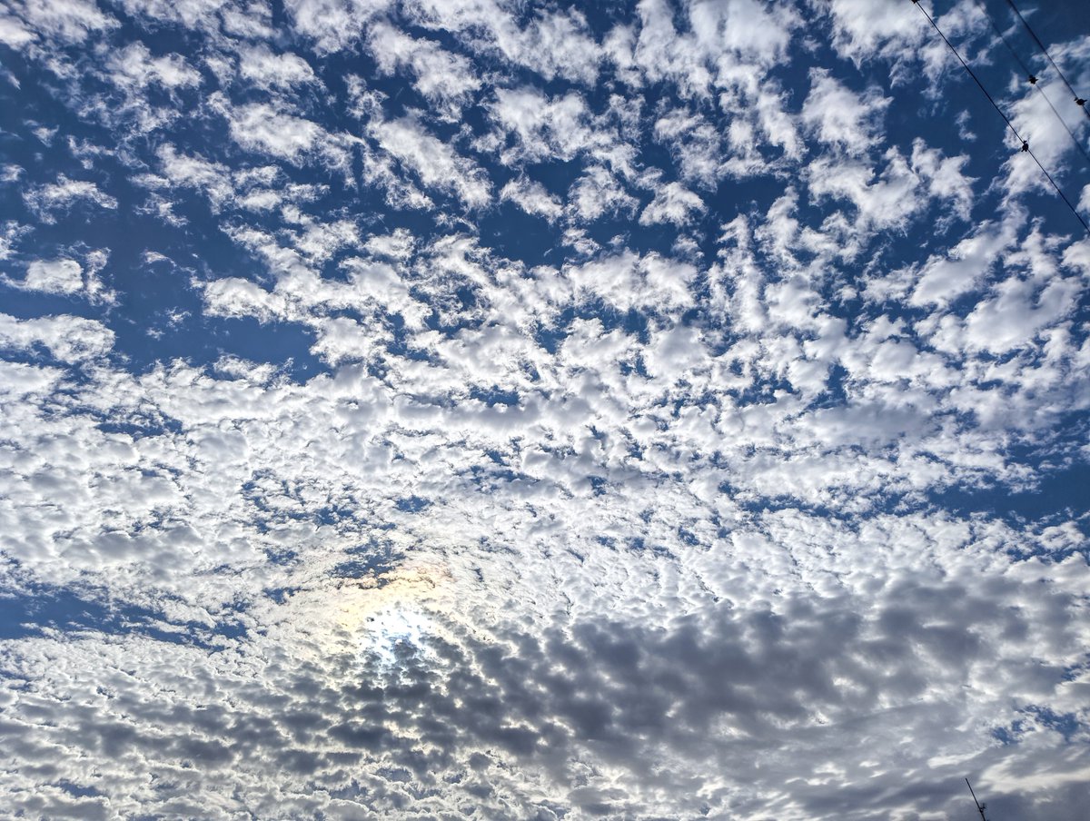 ShockAre's tweet photo. 秋空。 https://t.co/xEa9cVaq5d