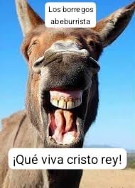 irennee23's tweet photo. @L63087657 @Eder55348926 Así se ven los borregos sin argumentos 😅😅😅 https://t.co/ha8ZmiQrY2