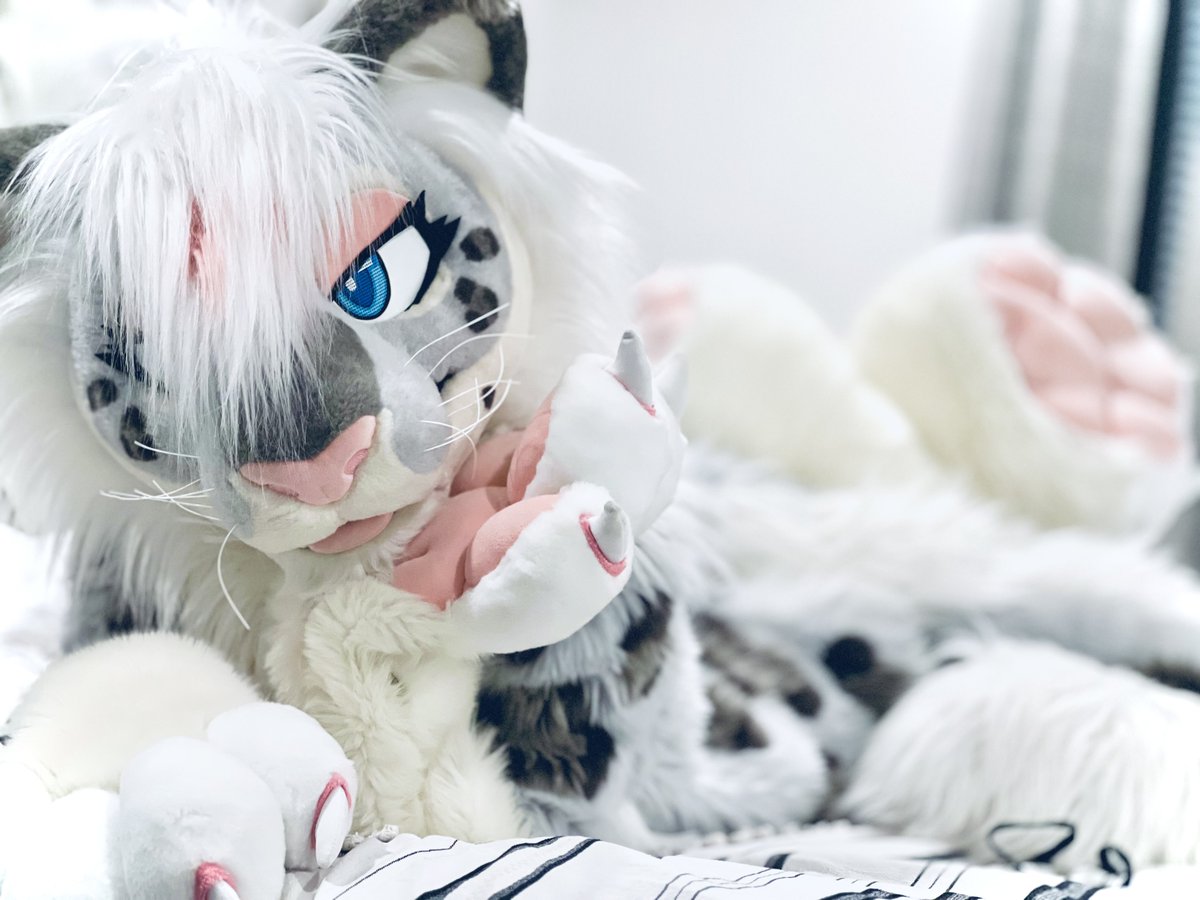 ChionSnep's tweet photo. Wake me up when Sneptember ends 😌💕

🪡 @PNWorks https://t.co/kt1HRUWFlB