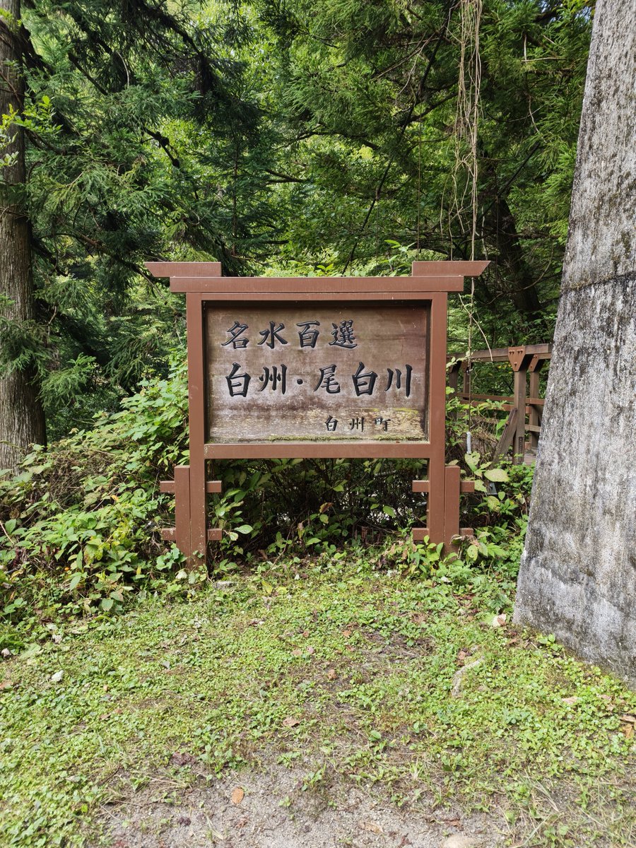 maronpip's tweet photo. 今日は山にきてる
#尾白川渓谷
 
混む連休は仕事をして世間が働く平日に休むスタイル。 https://t.co/bJDMzRzWAP
