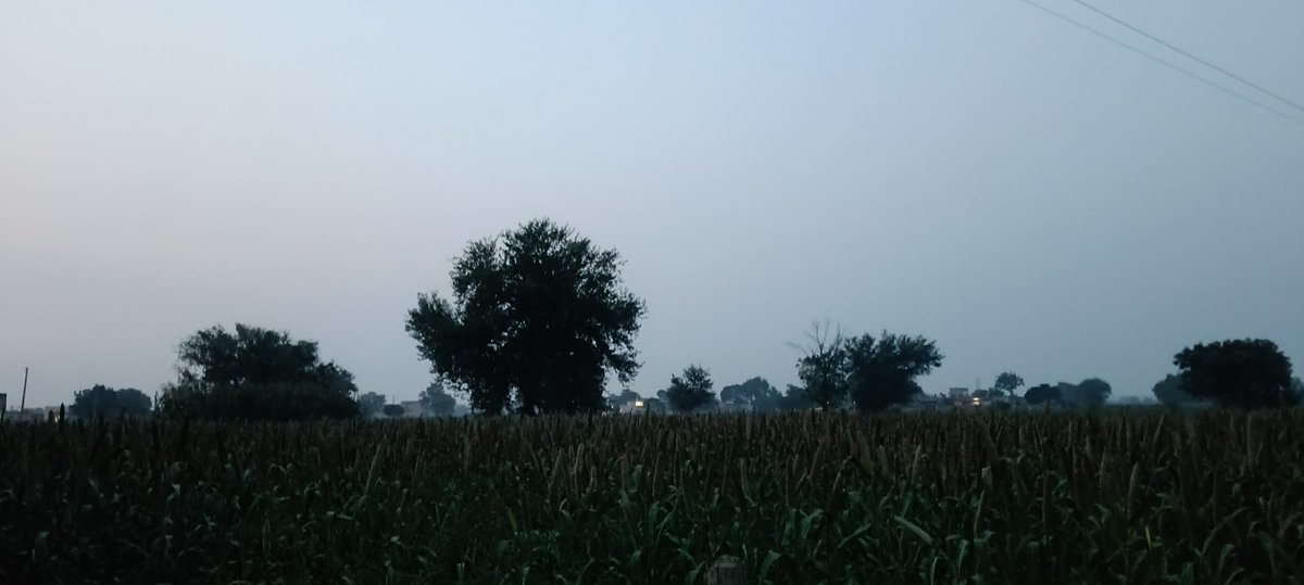 Lalit_Bishnoi29's tweet photo. Good morning everyone! 🌾✨
आज मौसम काफी सुहाना है, हल्की-हल्की ठंडी हवा चल रही है,आसमान में बादल छाये हुये और चारों तरफ शांत वातावरण और खेत खलियान देखकर मन खुश हो गया।
आप सभी का दिन शुभ हो! 😊🍃
#GoodMorning #BeautifulWeather https://t.co/MRfMPIN9sC