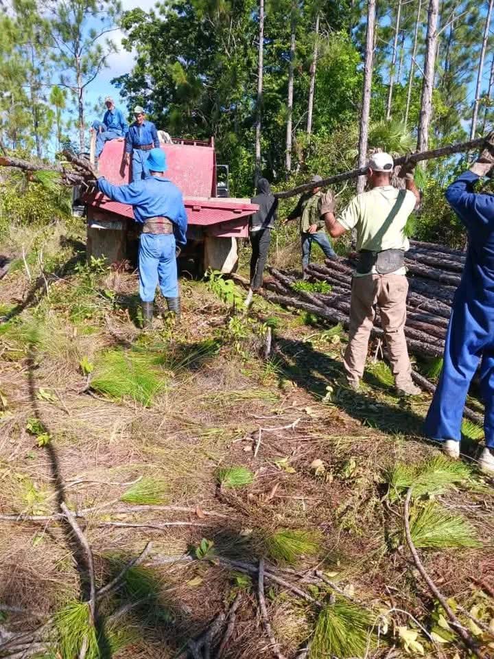 GrandaMorejon's tweet photo. En #PinardelRío, un pueblo trabajando, con voluntad, esfuerzo y sacrificio, por las nuevas victorias que la Patria necesita.

#Cuba
#UnidosXCuba https://t.co/gzxepR84wA