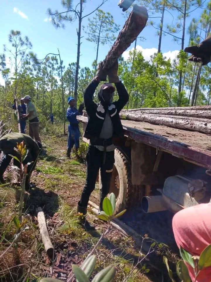 GrandaMorejon's tweet photo. En #PinardelRío, un pueblo trabajando, con voluntad, esfuerzo y sacrificio, por las nuevas victorias que la Patria necesita.

#Cuba
#UnidosXCuba https://t.co/gzxepR84wA