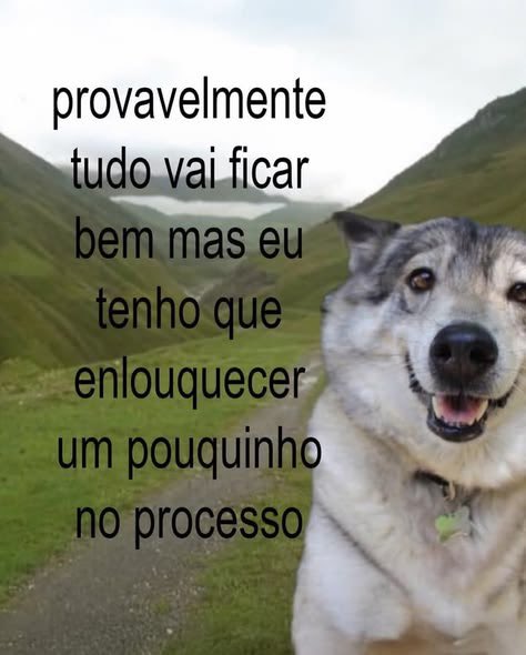 Yazsmines's tweet photo. Eu pra tudo https://t.co/NGDNXFJE2H