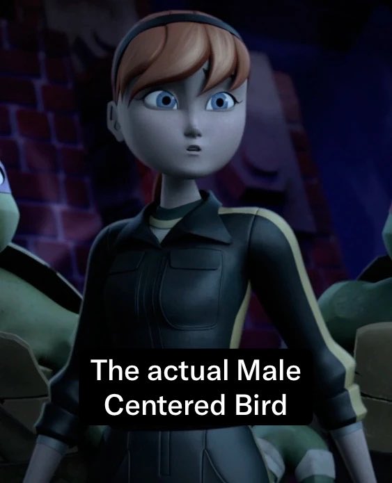Katset2754's tweet photo. Who TikTok wants to lie, look stupid and falsely accuse of being a male centered bird in 2026 only for a certain character to be a woman the whole time vs the ACTUAL male centered birds in 2012 and 2019-2026. https://t.co/1epBTt7vXb