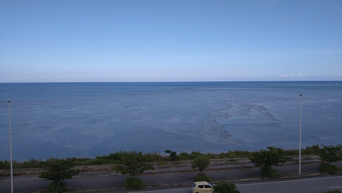 PDRmania's tweet photo. 私を慰めてくれていいのよ···😢

海。
この撮り方気に入ったらしい（笑） https://t.co/h835MoZGfv