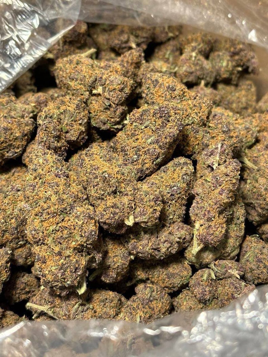 Exoticsshelf's tweet photo. Cosmic Zaza, Real exotic weed, indoor grown, fire buds, Gas pack, high THC, plug in Sydney, Melbourne, Brisbane, Perth, Adelaide, Gold Coast, Canberra, Newcastle, USA, Geelong, Hobart, Cairns, Townsville, Darwin, Sunshine  Hervey Bay lpswich .
❄️Telegram: ICEMANBUDSS https://t.co/fwrl9uZwvd