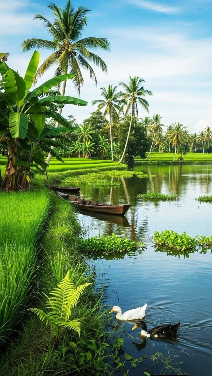 liyyanlf's tweet photo. அன்புடன் இனிய காலை வணக்கம் நண்பர்கள் அனைவருக்கும் https://t.co/e095jOraqm