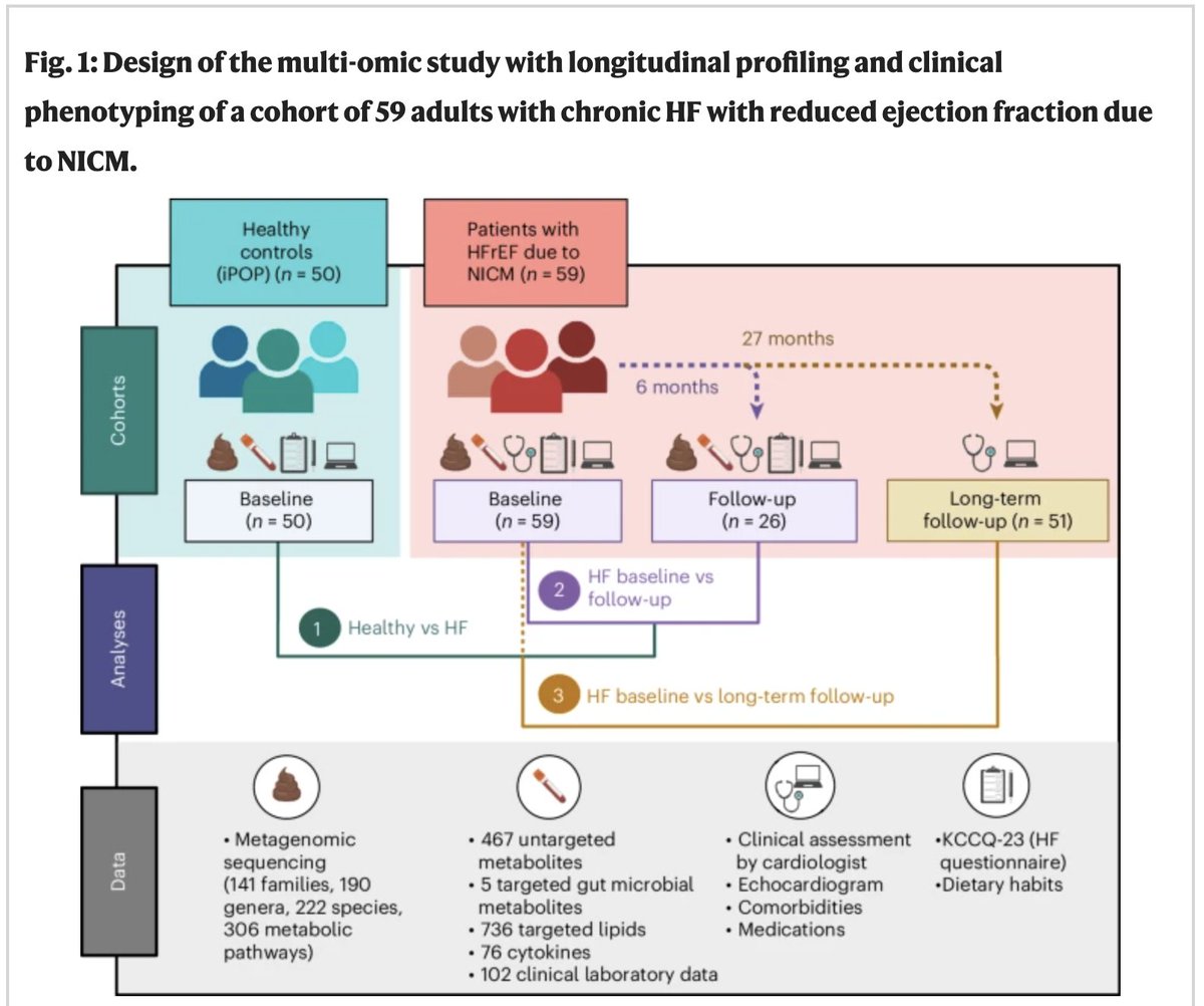 StanfordDeptMed's tweet photo. Can your gut predict heart failure progression?
A new @NatureCardioRes study led by #StanDOM's Dr. Petra Mamic & Dr. Handuo Shi @stanfordeng shows patients with more helpful gut bacteria are more likely to improve. https://t.co/PKGXUYIdX2
@StanfordMed @StanfordHealth https://t.co/F5rwfmIivl