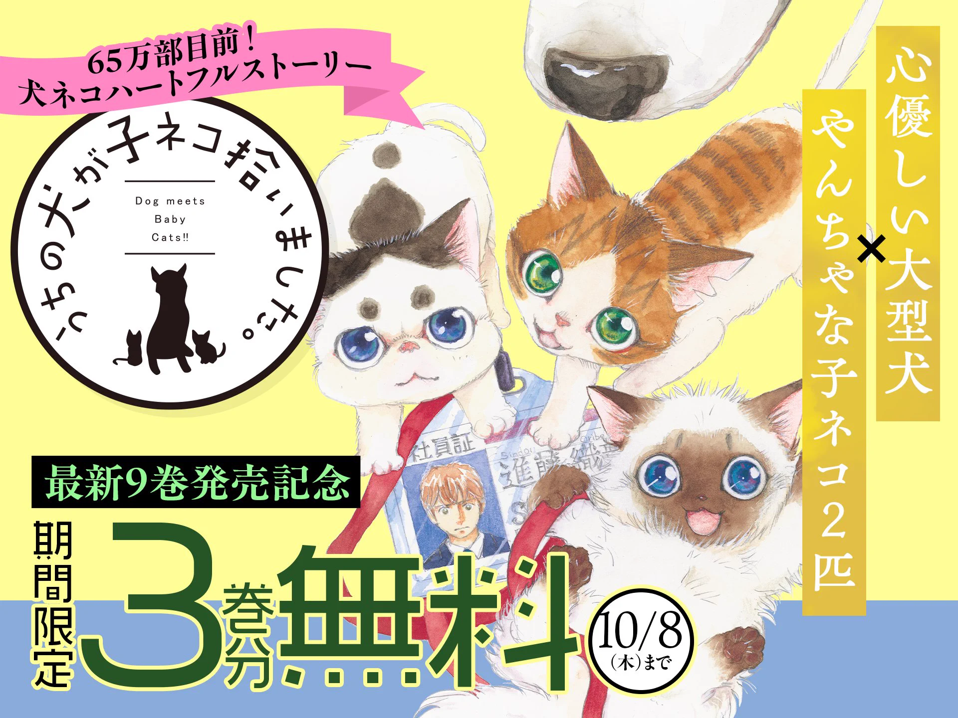 フラコミlike! on X: 