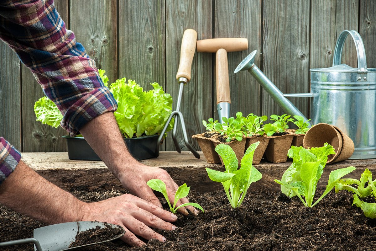 kikiyyaaa's tweet photo. [Bucket sieve makes happy gardening days simpler u0026 more fun!]， https://t.co/4ghSsu8jG1