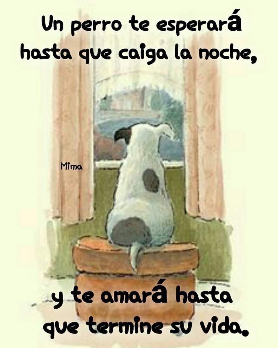 marq31995's tweet photo. Los perros son siempre fieles https://t.co/wpa4LSQePt