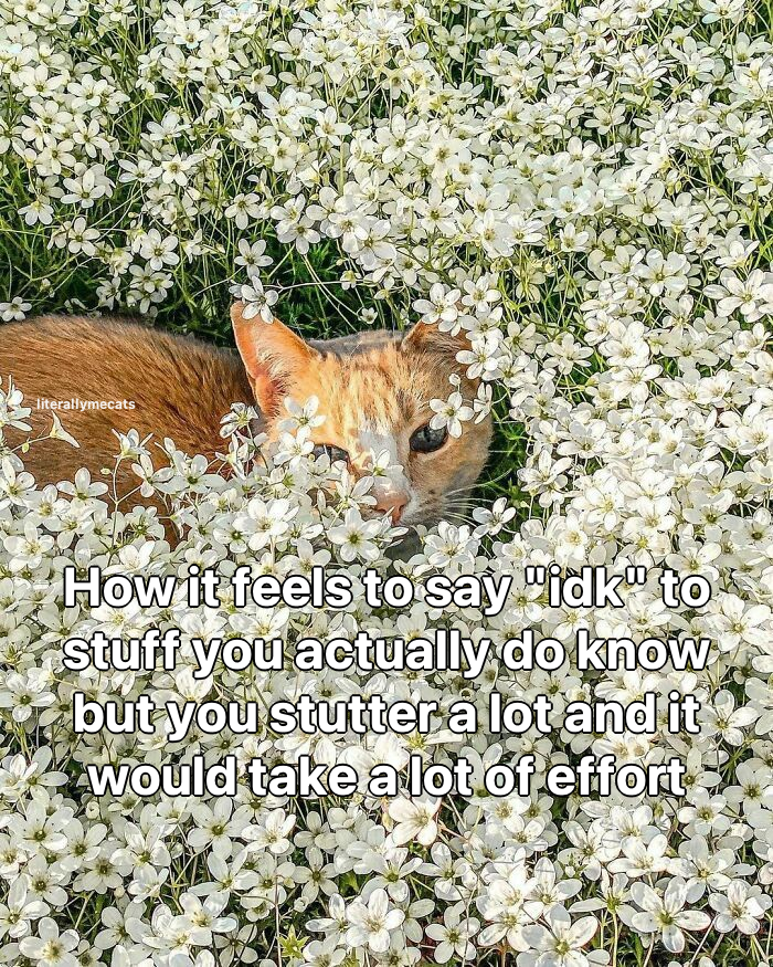 literallymecats's tweet photo. https://t.co/x33W0nGGlI