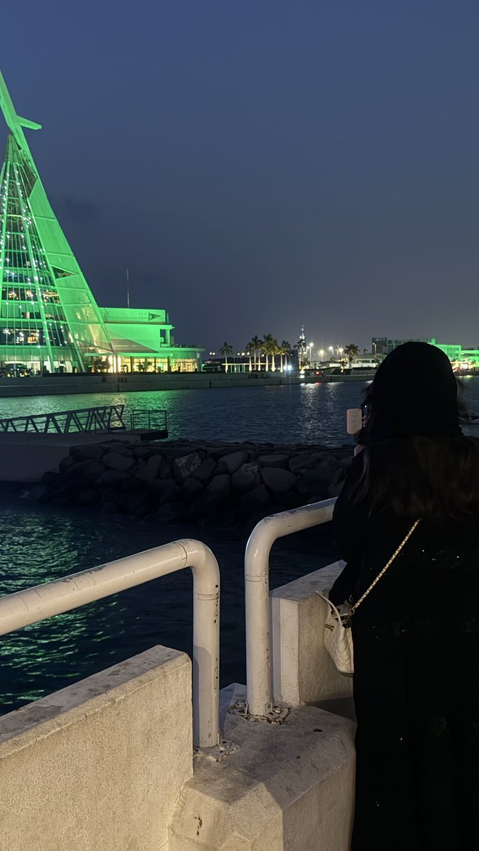 6k22t's tweet photo. 💚💚🇸🇦 https://t.co/K1YW5YYNBB
