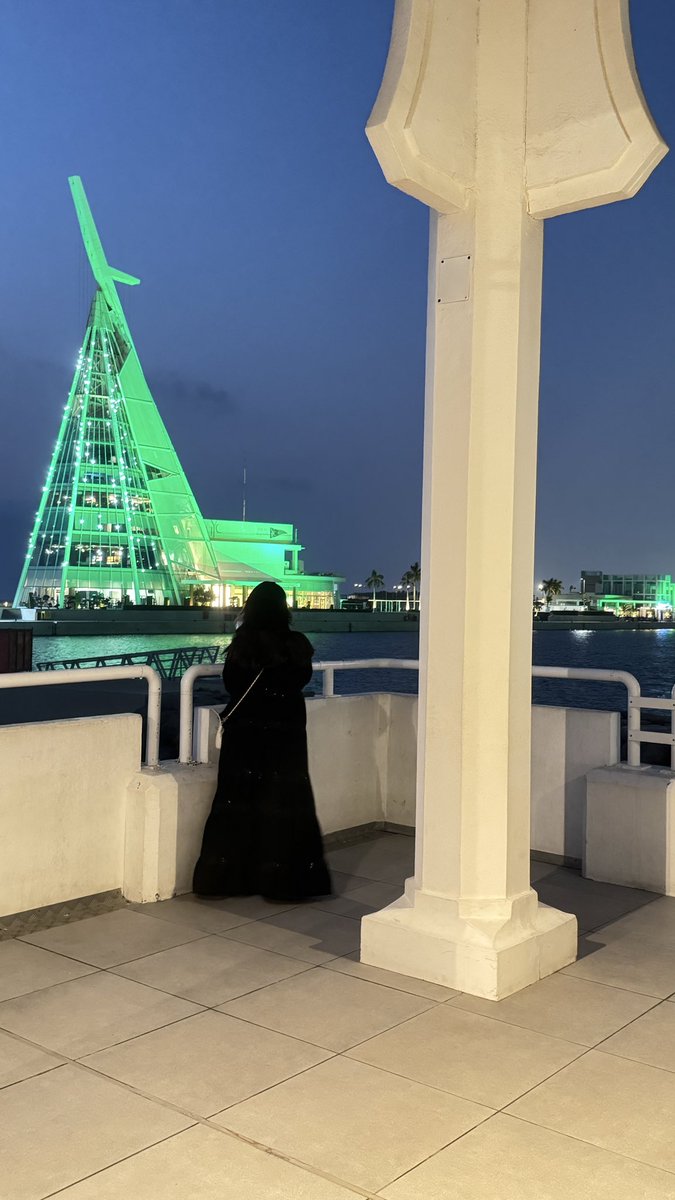 6k22t's tweet photo. 💚💚🇸🇦 https://t.co/K1YW5YYNBB