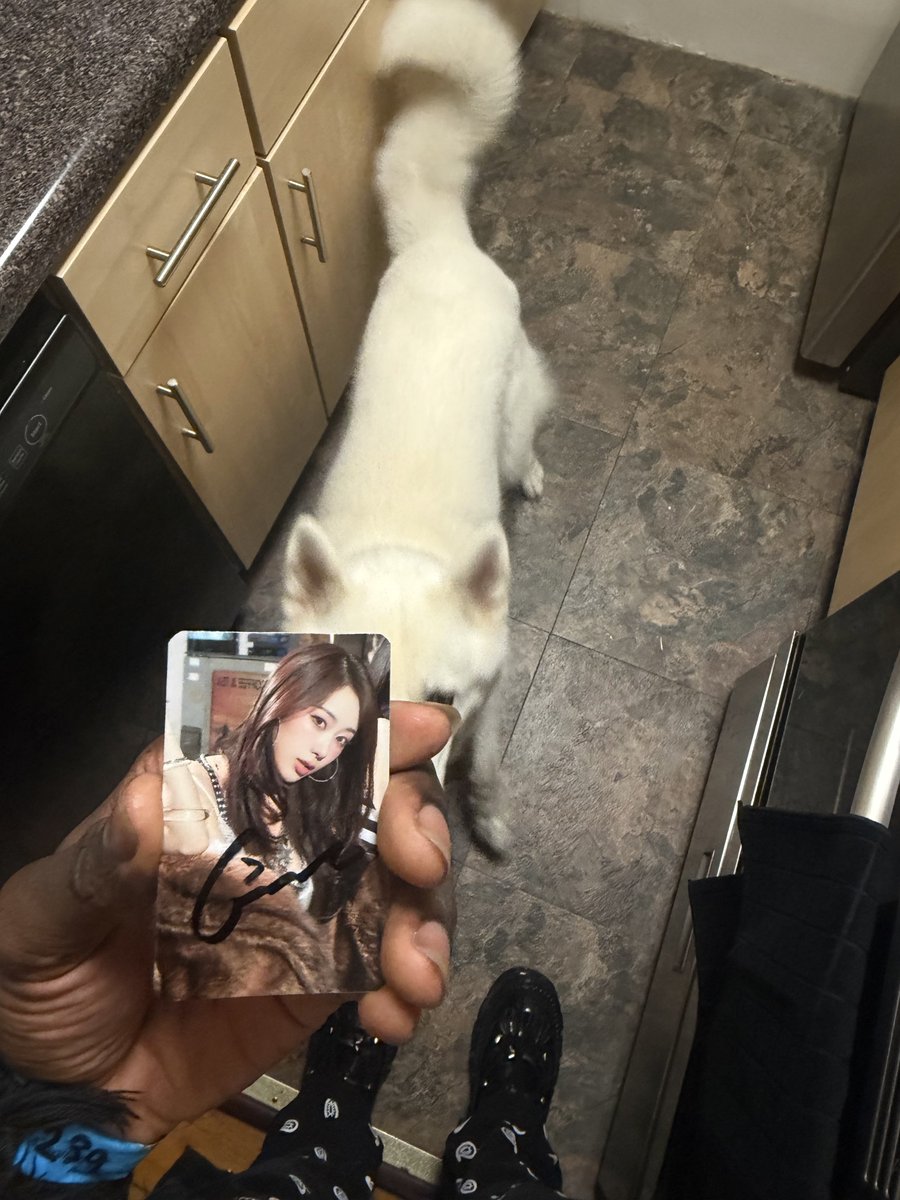 DERPYTAMAMO's tweet photo. Giselle also signed my photo of her 😭🩷 https://t.co/l0aoTAfeuD
