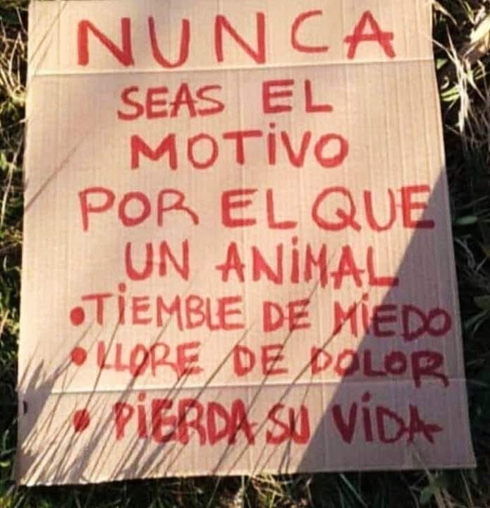 marq31995's tweet photo. Ley de vida, todo regresa https://t.co/6ms1eMwyu9