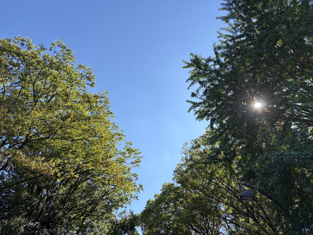 rekomini's tweet photo. 昨日から眠すぎる…連休は台風の低気圧で頭痛だったけど。今は満月なのかも🌕今日はゆっくりいこうと思います。
#中秋の名月はお団子食べたい
#なんでお団子なんだろう🤔
#秋晴れ🌞 https://t.co/dGPeOvn5qj