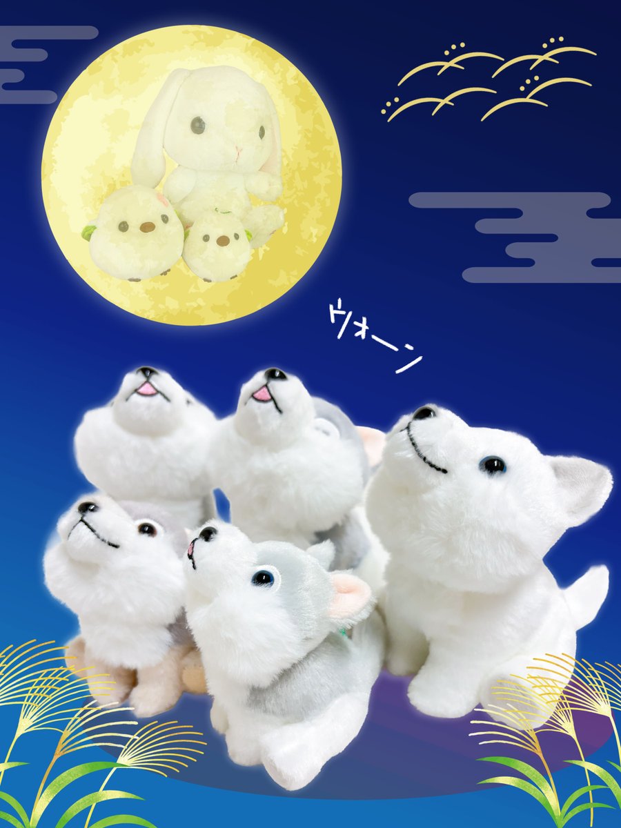 AMUSE_japan's tweet photo. 今日は『中秋の名月』。

オオカミが吠えるにはぴったりのお月さま🐺🌕

#もふっとオオカミ https://t.co/REBSZT0ftq