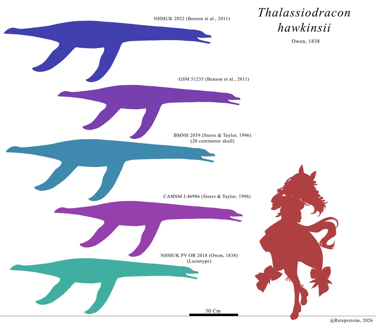 PedroMa23765483's tweet photo. Thalassiodracon is one of the oldest pliosaurids ever found, dating back to the Triassic. His weird anatomy shows how different the older pliosaurids were from the upper Jurassic and Cretaceous Apex predators like Kronosaurus and  Pliosaurus

#Paleoart https://t.co/4g2Zi8NrCP