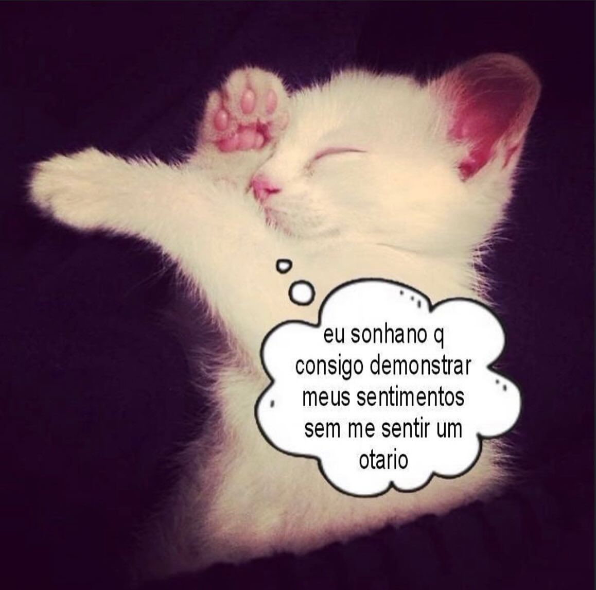 fofosenocontext's tweet photo. https://t.co/THHaoA8i7v