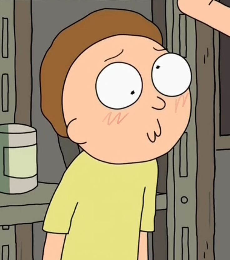 Emikode09's tweet photo. My morty summer camp oc 🫶#mortysummercamp #msc #rickandmorty https://t.co/NfaAtp2cTL