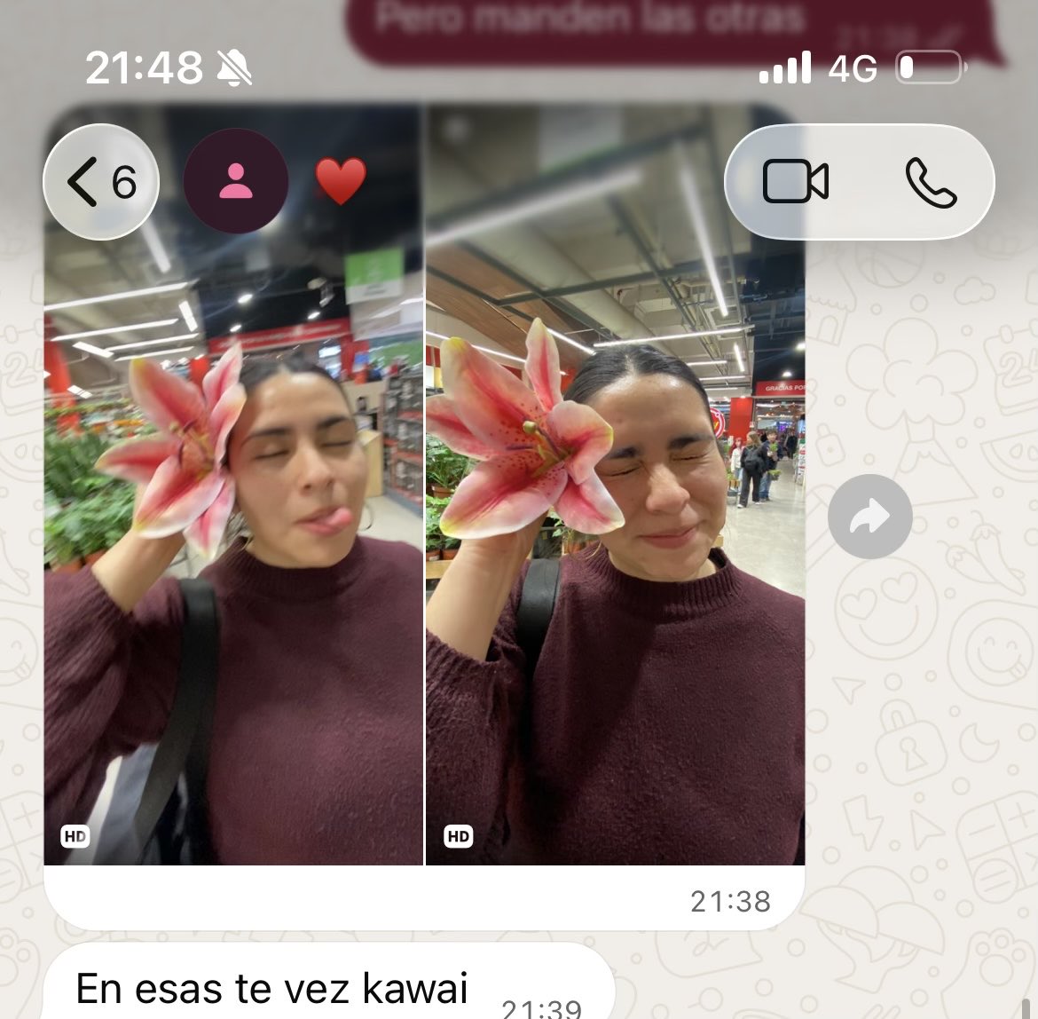 VayholettF's tweet photo. Para ella siempre seré kawaiii con mis lirios. https://t.co/UoW8N3qpnA