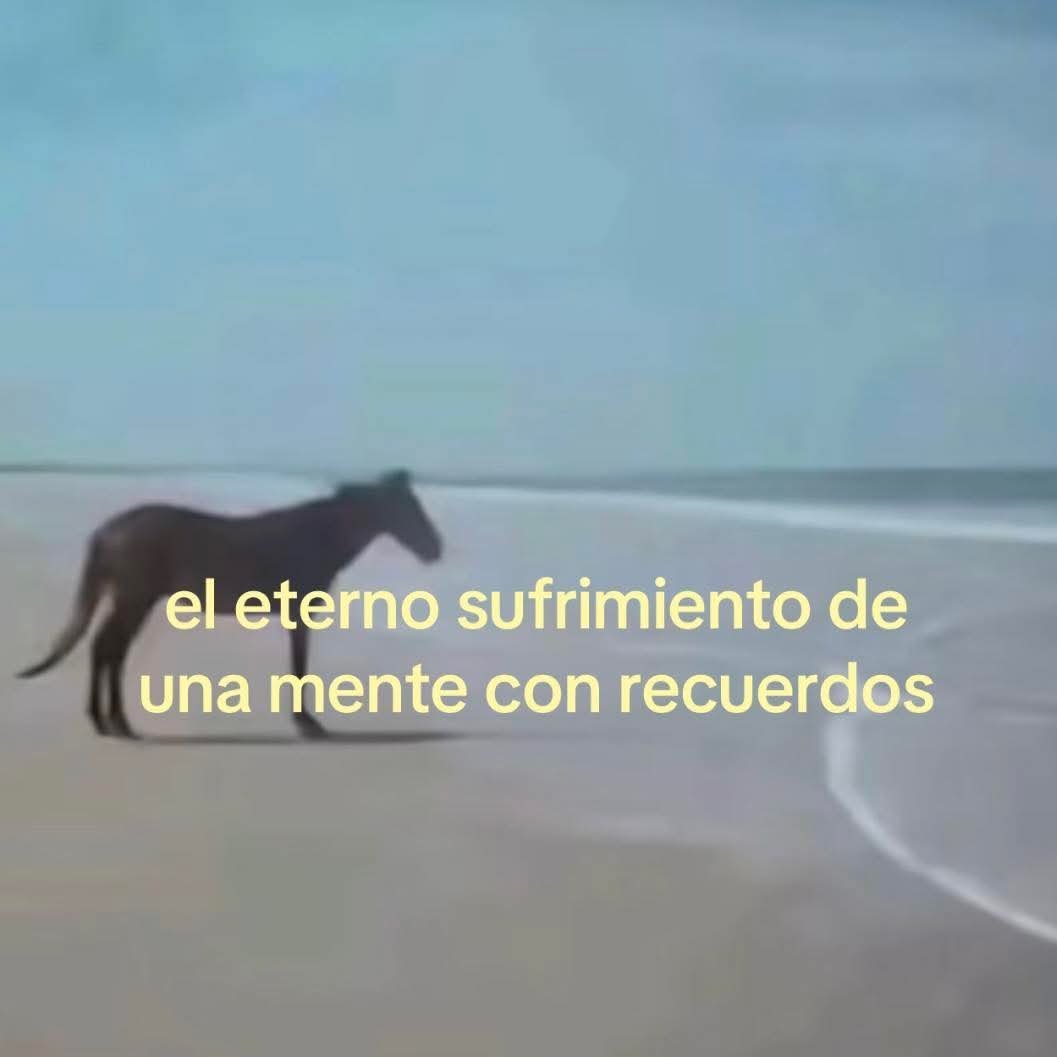 Mantequilla90's tweet photo. https://t.co/c144syXJQy