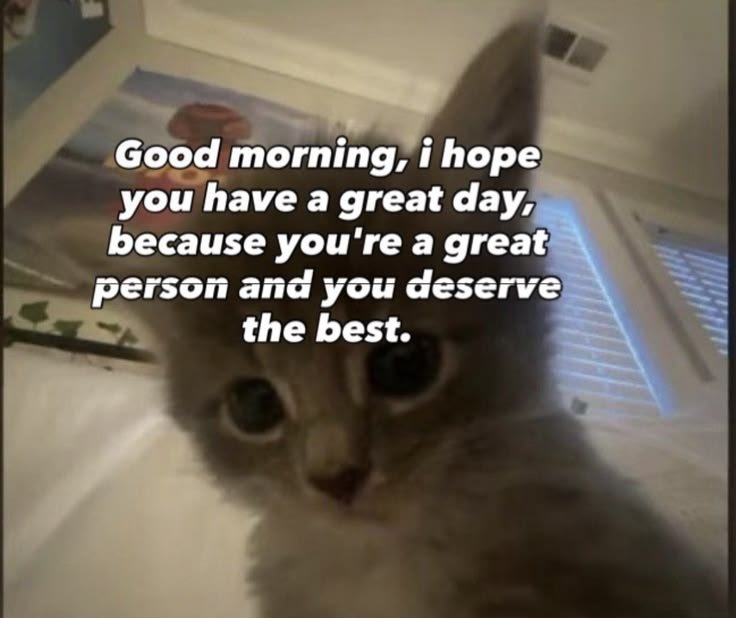 JCYlul's tweet photo. Selamat pagi! https://t.co/omUxlQtUc9