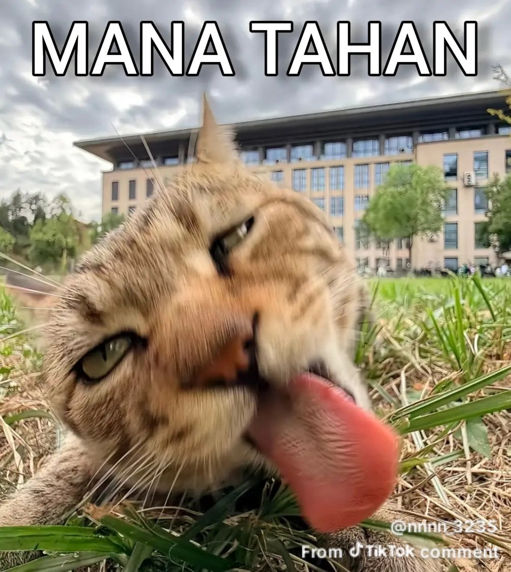 eirext's tweet photo. nemu di tiktok wkwkk https://t.co/bKBZO6vz0i