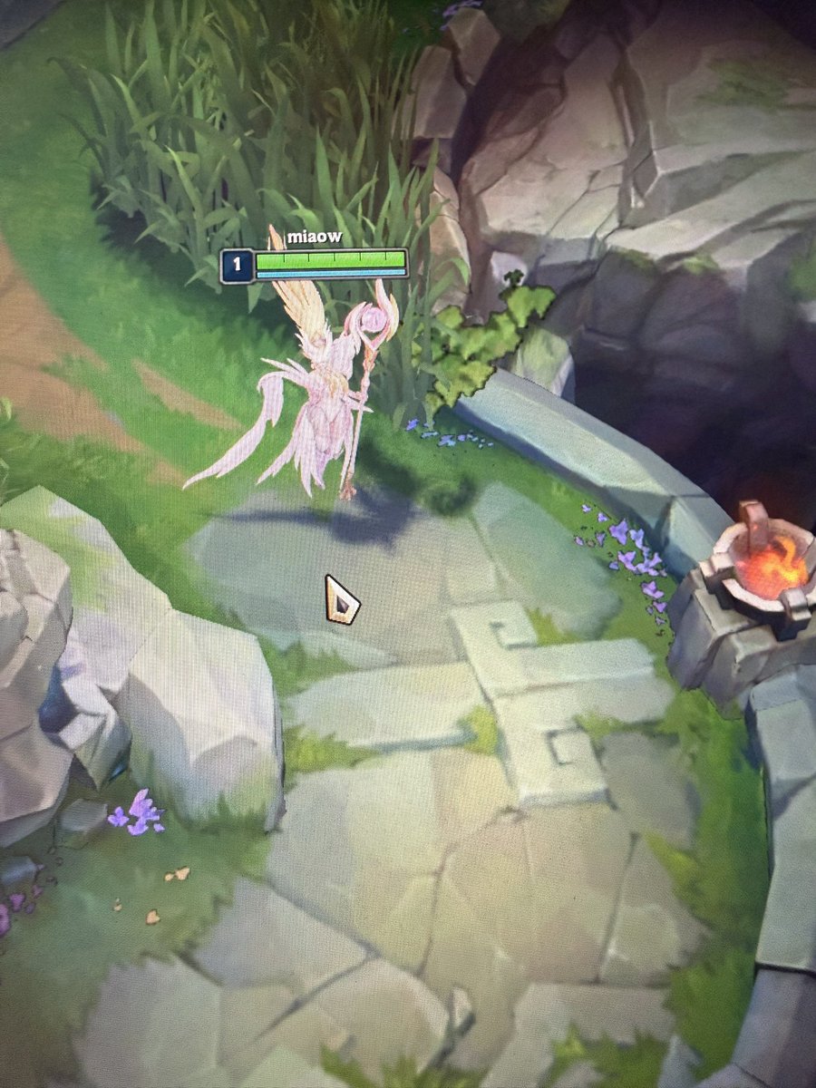 3vrsince's tweet photo. oh janna how ive missed you my precious bun https://t.co/6yX3w33ikv