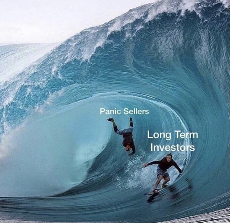 nvzeth's tweet photo. Panic sellers: 
SELL! SELL! SELL!

Long-term investors: Just another wave. https://t.co/d2mip0KHA2