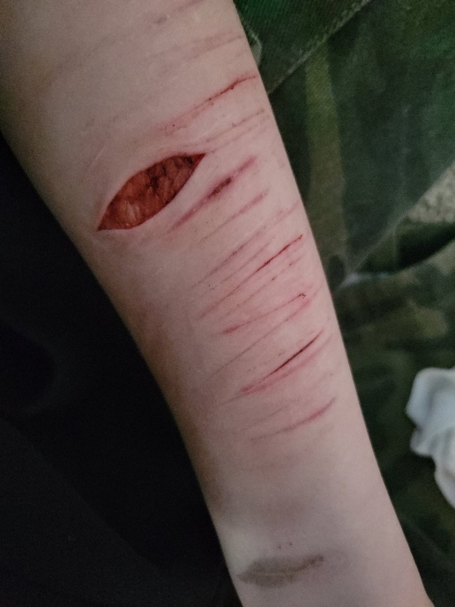 Maxieauda's tweet photo. @Miilooo04 DUDE LOOK AT MY MAKEUP FOR HALLOWEEN??!! I'm getting so much better at it! Looks like beans tbh.. https://t.co/nijx2Wjksy