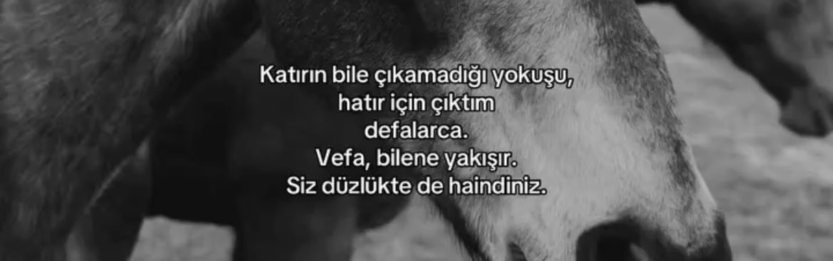 anlatniss's tweet photo. hayırlı cumalar. https://t.co/7iWR3IVlMv