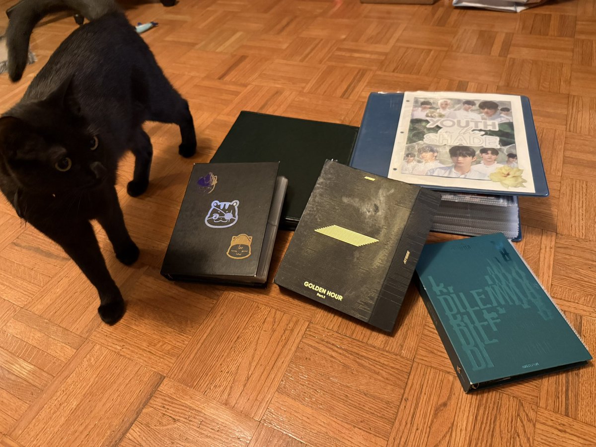 oldspicyog's tweet photo. @ChoiceMusicLA me and my kitty are ready https://t.co/3771oQRxdu