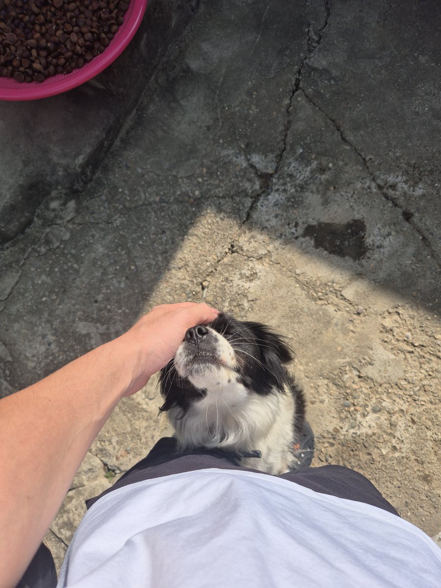 haveagood___'s tweet photo. 즐추 https://t.co/DMy0j1tHds