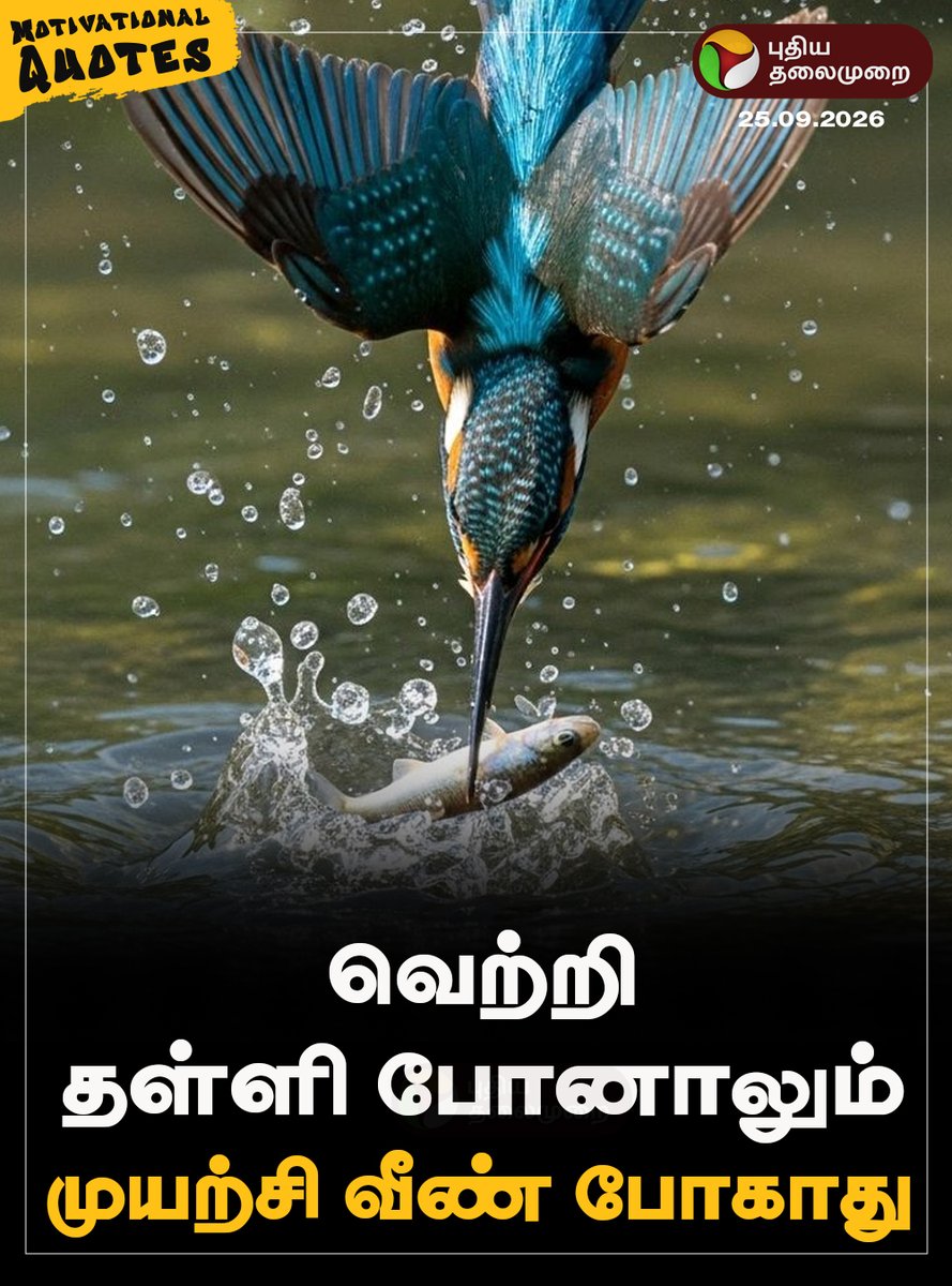 PttvNewsX's tweet photo. #MorningMotivation | வெற்றி தள்ளி போனாலும், முயற்சி வீண் போகாது..!
#MotivationalQuotes | #PTQuotes | #Motivation | #FridayMotivation https://t.co/ApcZsgx8u8