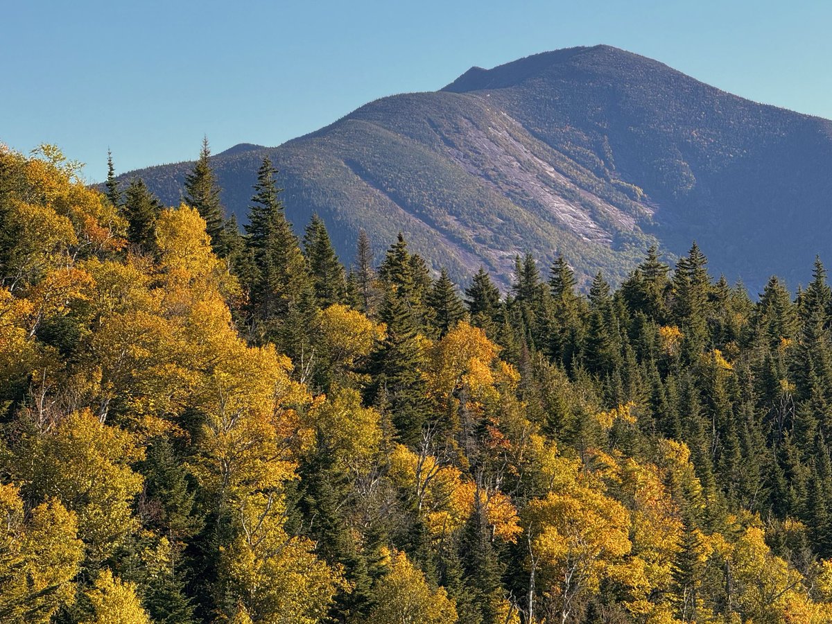 TommyHornWX1's tweet photo. Today’s Adirondack foliage adventure. 
📸 Keene Valley, NY
@SCweather_wx @ExploreFall @webberweather @EricSnitilWx @MattDevittWX @DHTheWeatherNut @spann https://t.co/Sy50OPWsNT