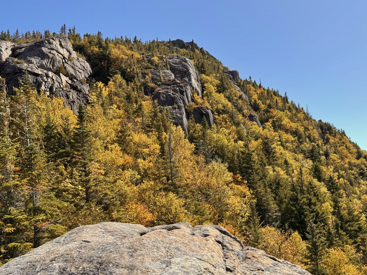 TommyHornWX1's tweet photo. Today’s Adirondack foliage adventure. 
📸 Keene Valley, NY
@SCweather_wx @ExploreFall @webberweather @EricSnitilWx @MattDevittWX @DHTheWeatherNut @spann https://t.co/Sy50OPWsNT
