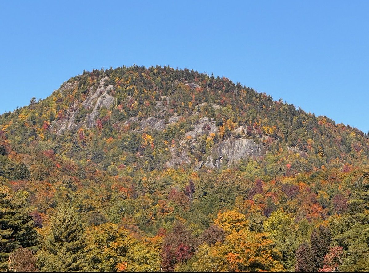 TommyHornWX1's tweet photo. Today’s Adirondack foliage adventure. 
📸 Keene Valley, NY
@SCweather_wx @ExploreFall @webberweather @EricSnitilWx @MattDevittWX @DHTheWeatherNut @spann https://t.co/Sy50OPWsNT