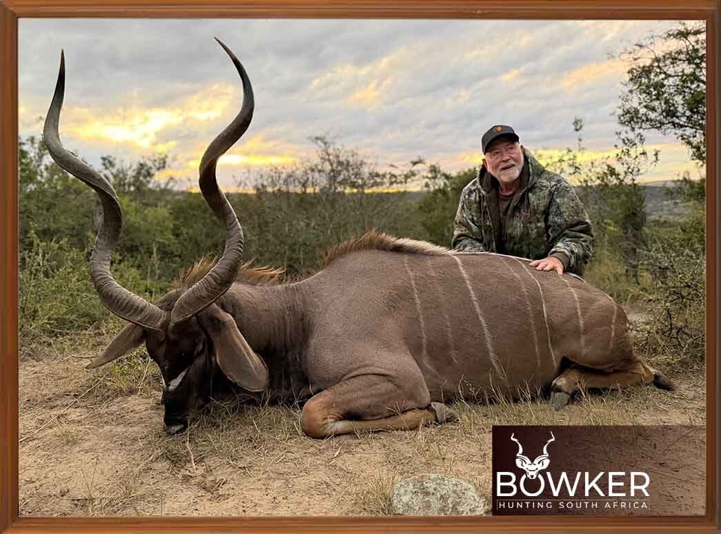 BowkerHuntm's tweet photo. Majestic spirals, mighty memories. This kudu bull is a true testament to fair chase hunting.
#BowkerHunting #KuduHunt #SouthAfrica https://t.co/klNO3g5lib