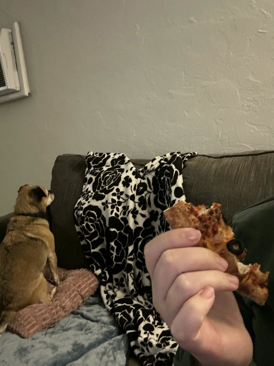 LisaKingfpk's tweet photo. (OC) my blind dog begging for pizza
#PCMasterrace #Nvidia https://t.co/5nas5O9w83