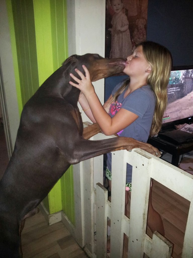 zaza89053058's tweet photo. https://t.co/24wE7ZH0JN

#knotting #K9 #dogknotting #k9knotty #taboo #zoo #k9girl #fyp #Igbtq #Dogs #USA #K9 https://t.co/ZckvhegNtb