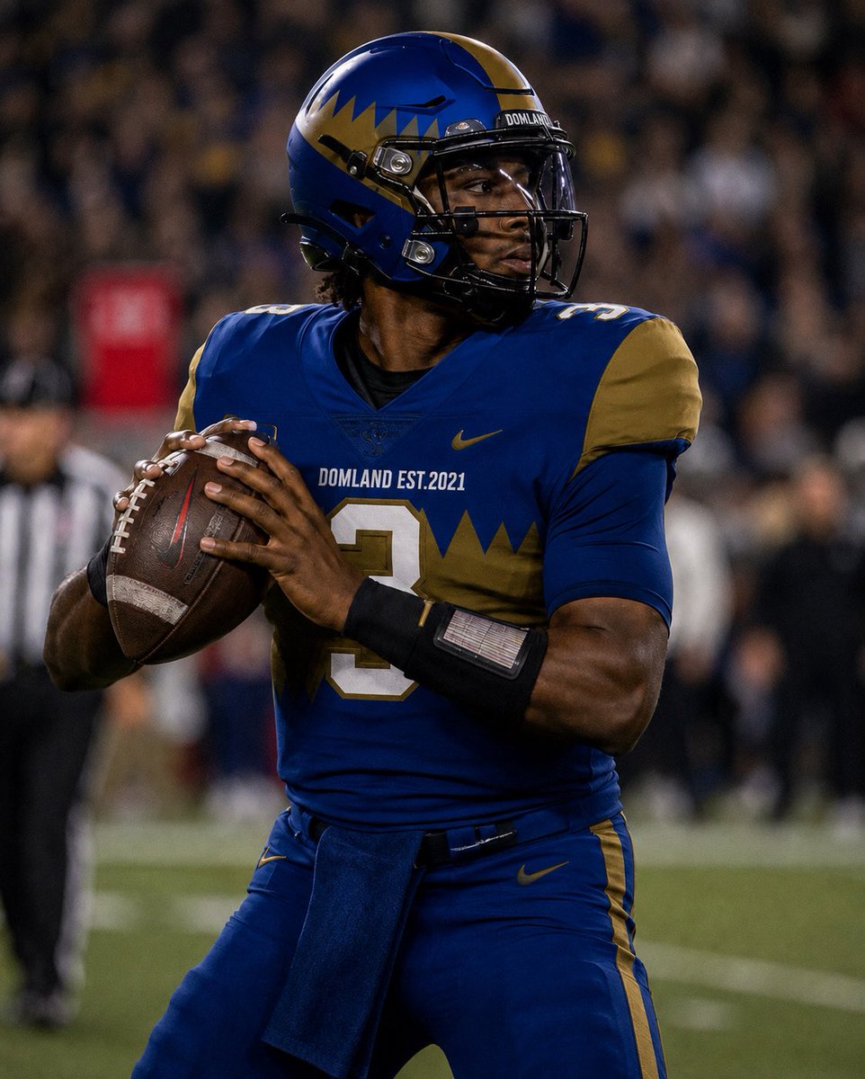 DFL484's tweet photo. QB Chris smith has officially been called up to the Domland national team and has officially been named QB1 for Domland‼️ https://t.co/kF9y2QKofe