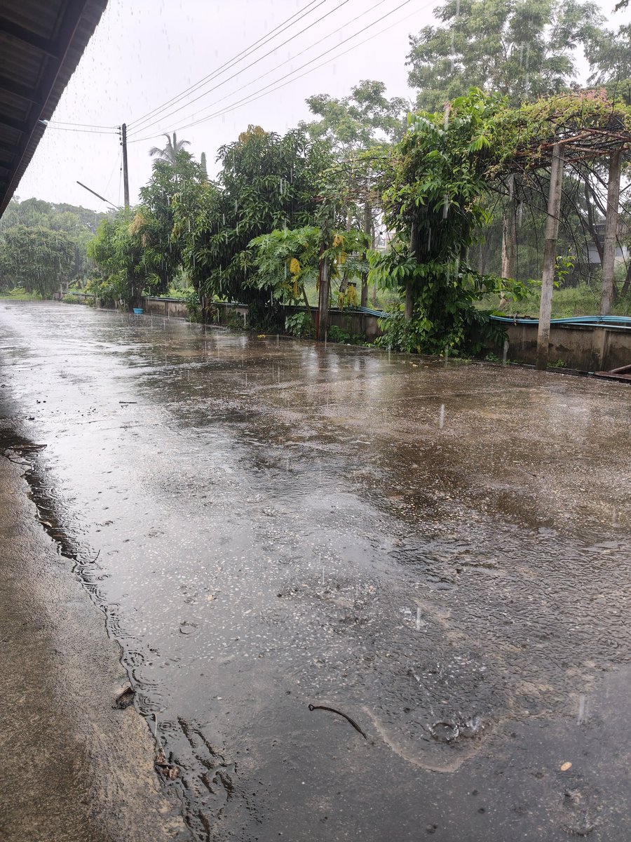 melhm651669's tweet photo. จะได้กลับบ้านกี่โมงฝนตกขนาดนี้สงสัยได้นอนในเมืองอีกคืน
#กำแพงเพชร
#เมืองกำแพงเพชร https://t.co/AkPElGY4RB
