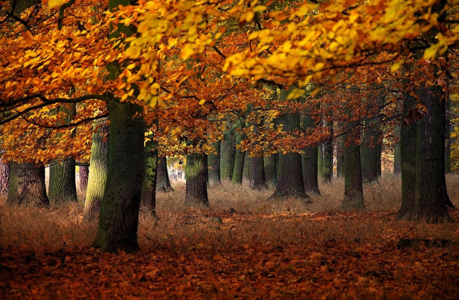 ericadach_7lsv's tweet photo. Come in tense, leave relaxed away and completely Step from stress into byron demopoulos💧 https://t.co/Iwp8jNueR3