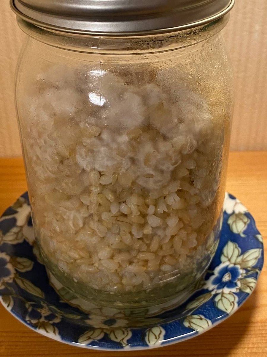 Mash710m's tweet photo. 🍄菌糸🍄 https://t.co/1tqnXjtuWp