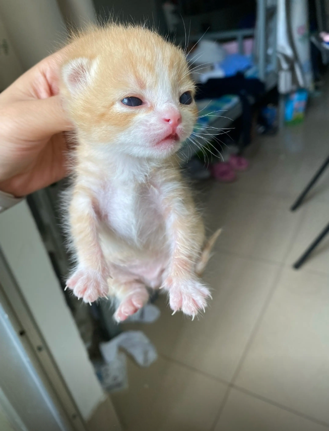 culKitten's tweet photo. https://t.co/i0pFVFax7G