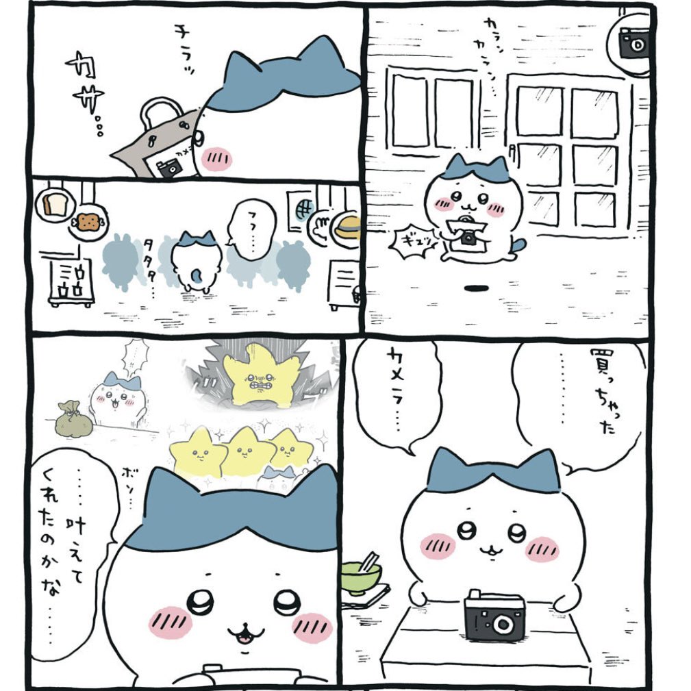ndsc25's tweet photo. 流れ星、ハチワレの願い（カメラが買えますように）を叶えるためにエリアEに危険草を生やした可能性が出てきて頭を抱えてる

#ちいかわ https://t.co/lc4GAi8jon