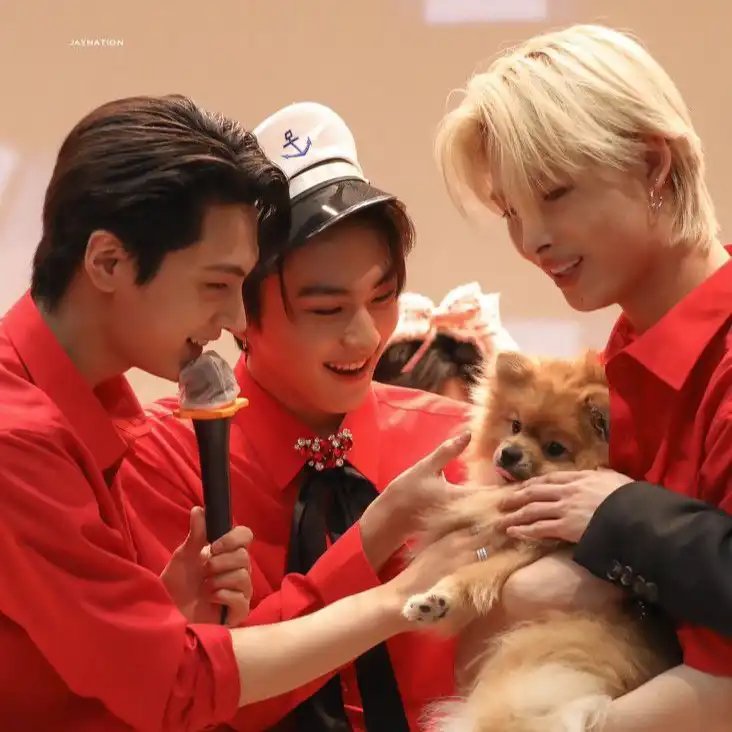 byssava's tweet photo. #jaywonki mini au – O que acha do meu namorado? ☆ https://t.co/PAgL43JHK7